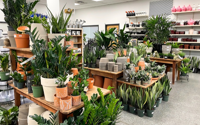 Trang trí quán cafe sân vườn mua đồ đẹp giá rẻ ở đâu?